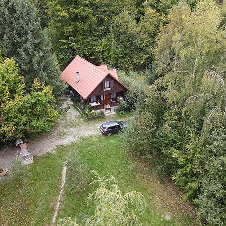 Casa Lacramioara Сымбэта-де-Сус Экстерьер фото