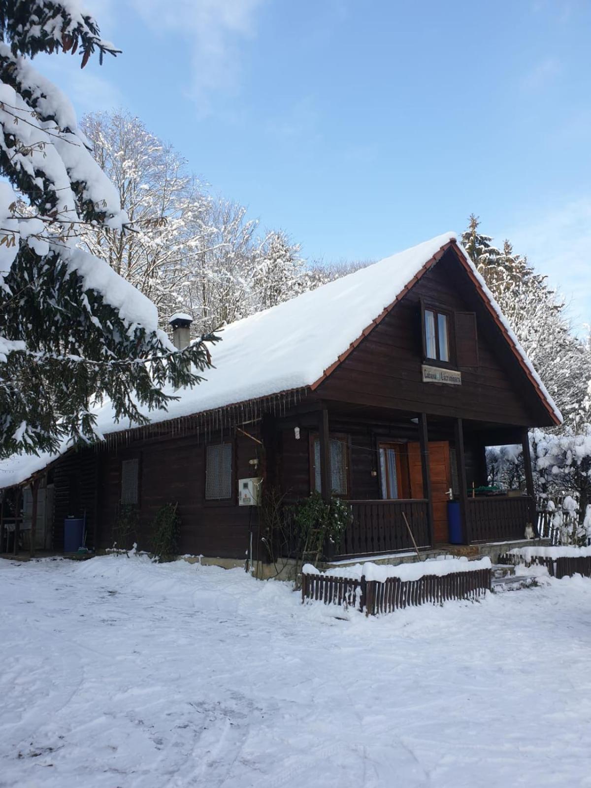 Casa Lacramioara Сымбэта-де-Сус Экстерьер фото