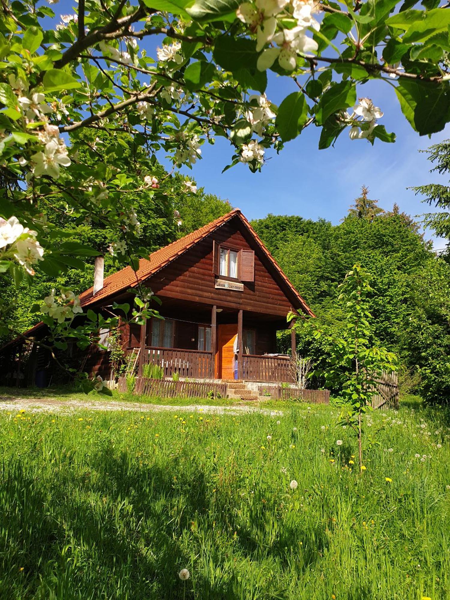 Casa Lacramioara Сымбэта-де-Сус Экстерьер фото