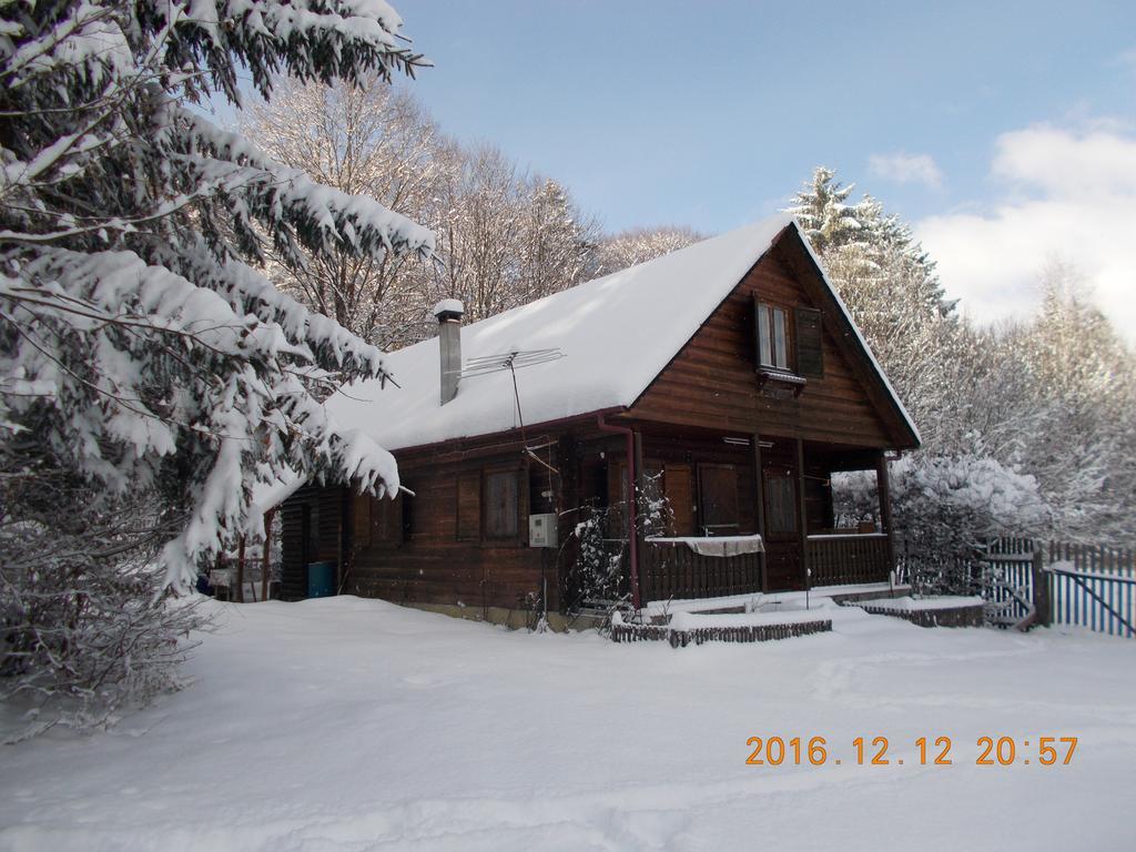 Casa Lacramioara Сымбэта-де-Сус Экстерьер фото